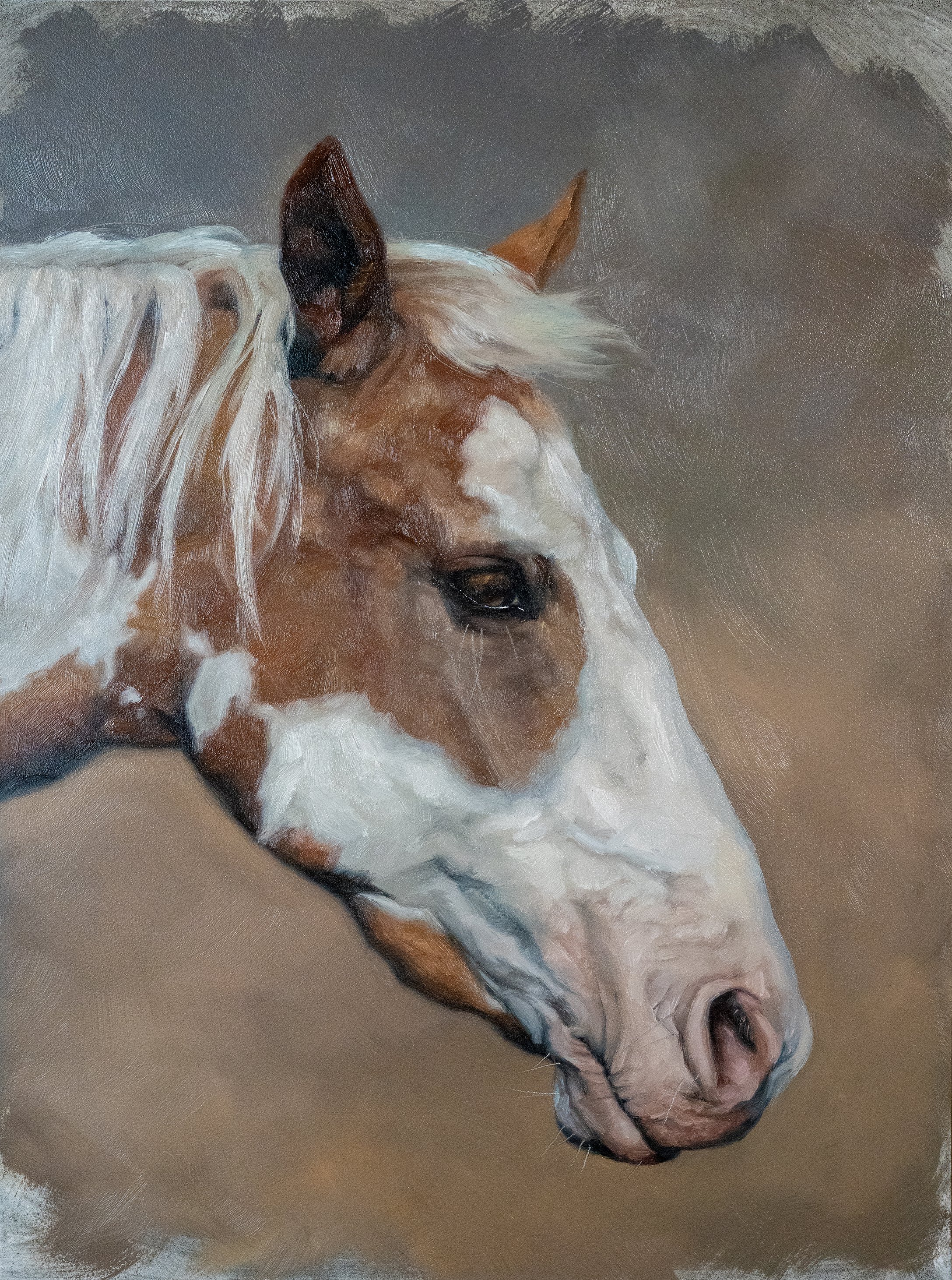 horse pio - 120ppi.jpg