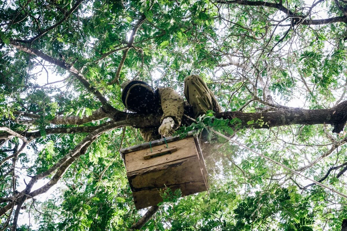 ©JurreRompa_Beekeeping_9.jpg