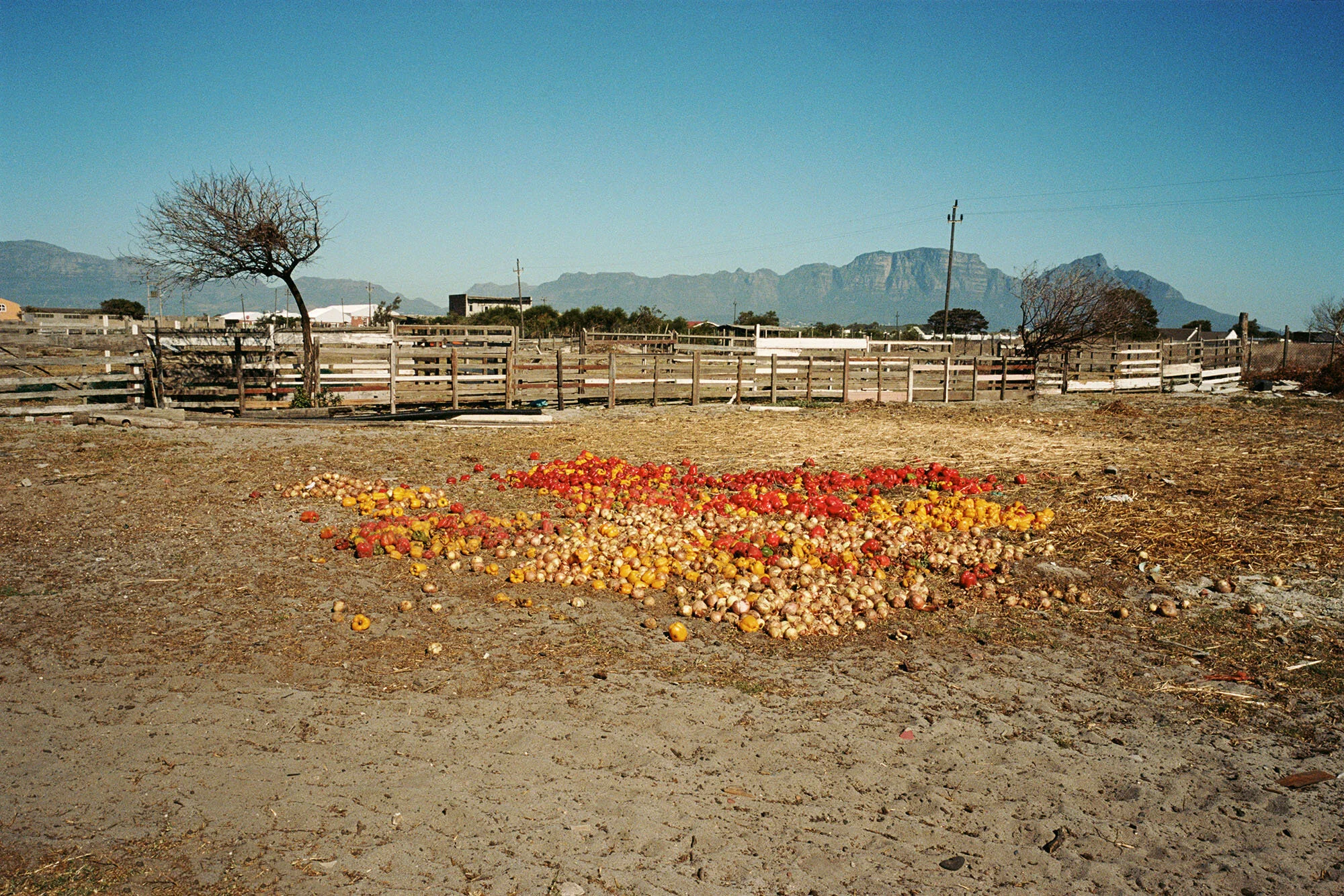 Farm.jpg