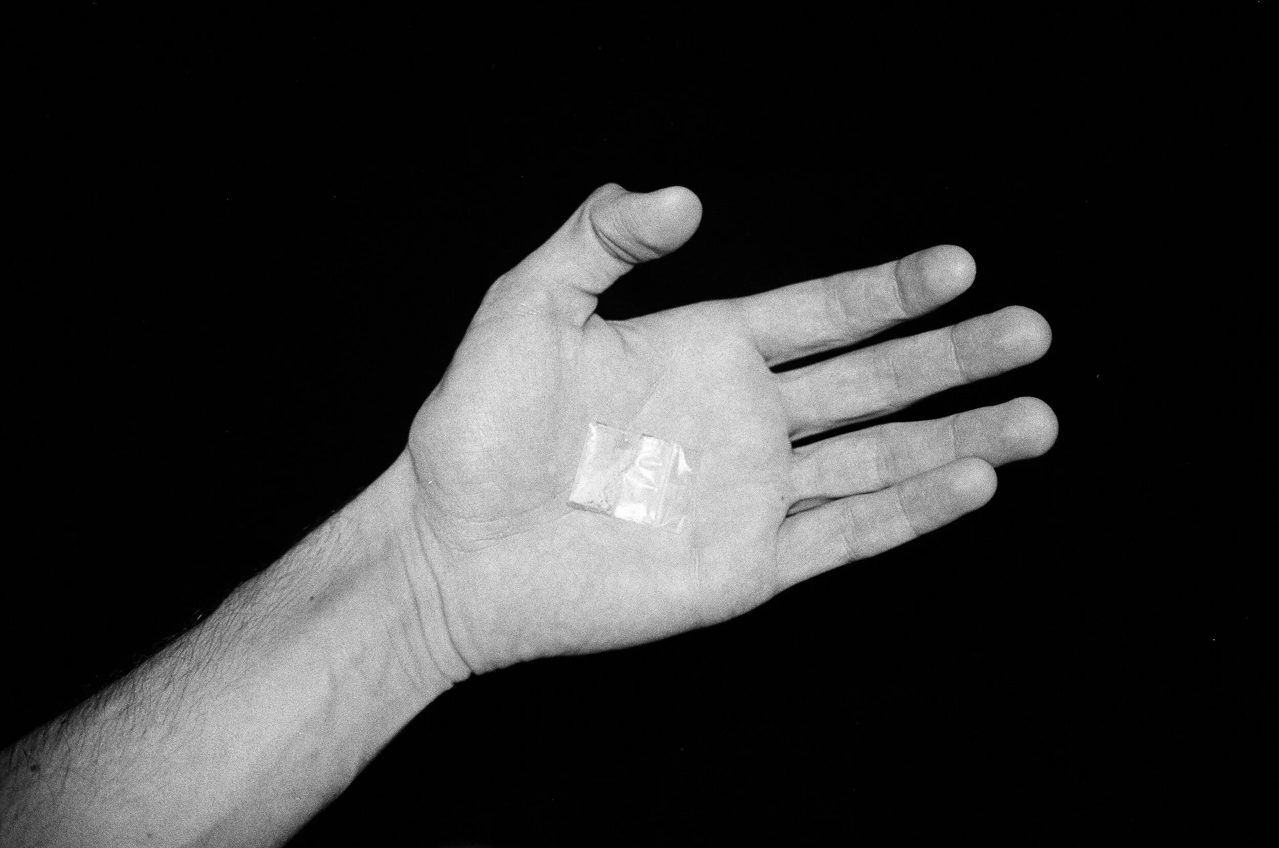 03720034.JPG