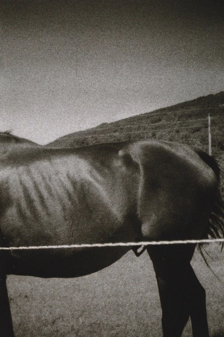 Carolina Echeverri  7.jpeg