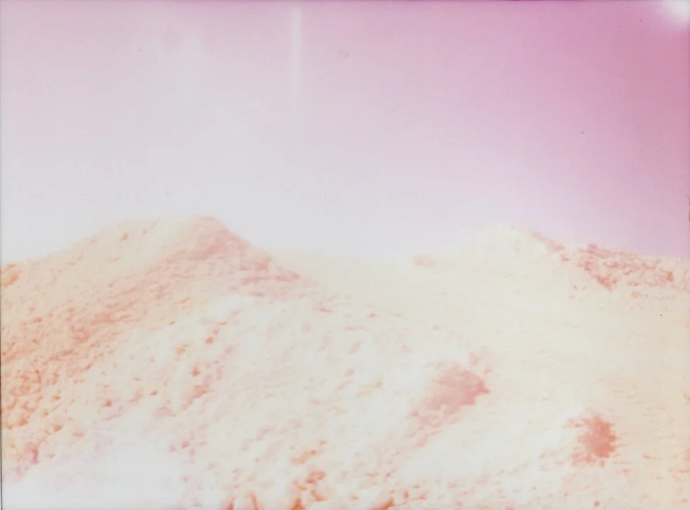 Carolina Echeverri 5.jpeg