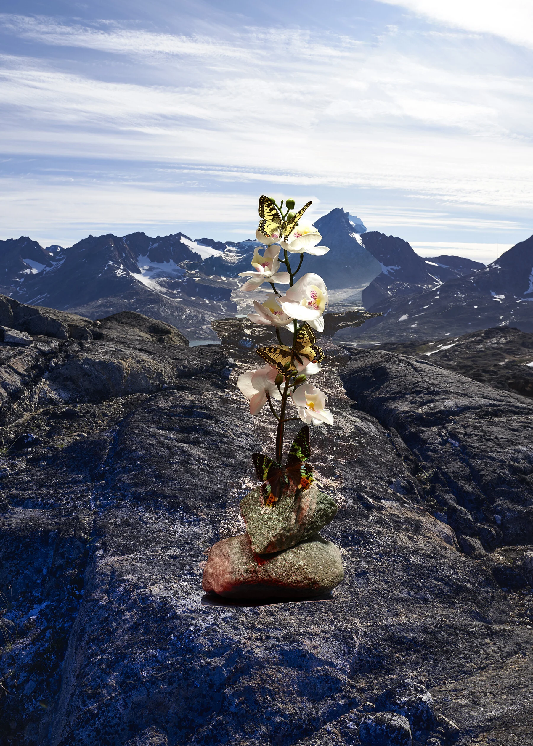 GER_Nikolai Frerichs - 301 - Inuit have no word for future_4.jpg