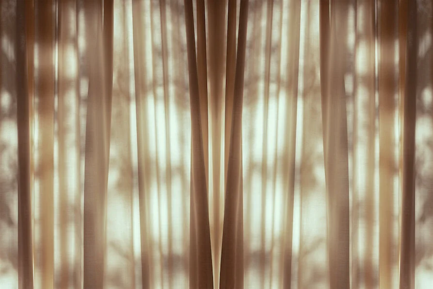 13.Shadow and Light_ilonalangbroek.jpg