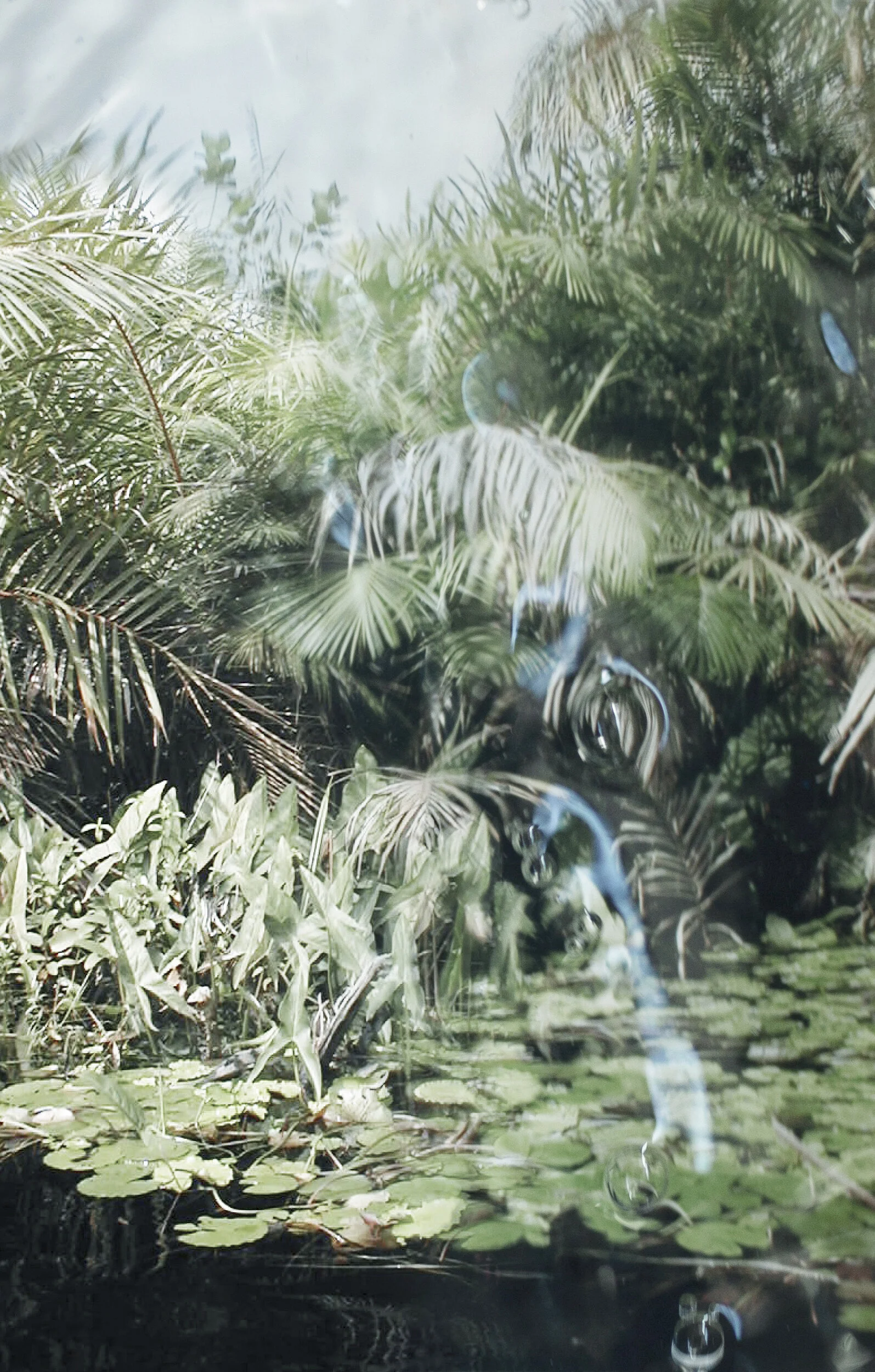 PARADISE ISLAND 13.jpg
