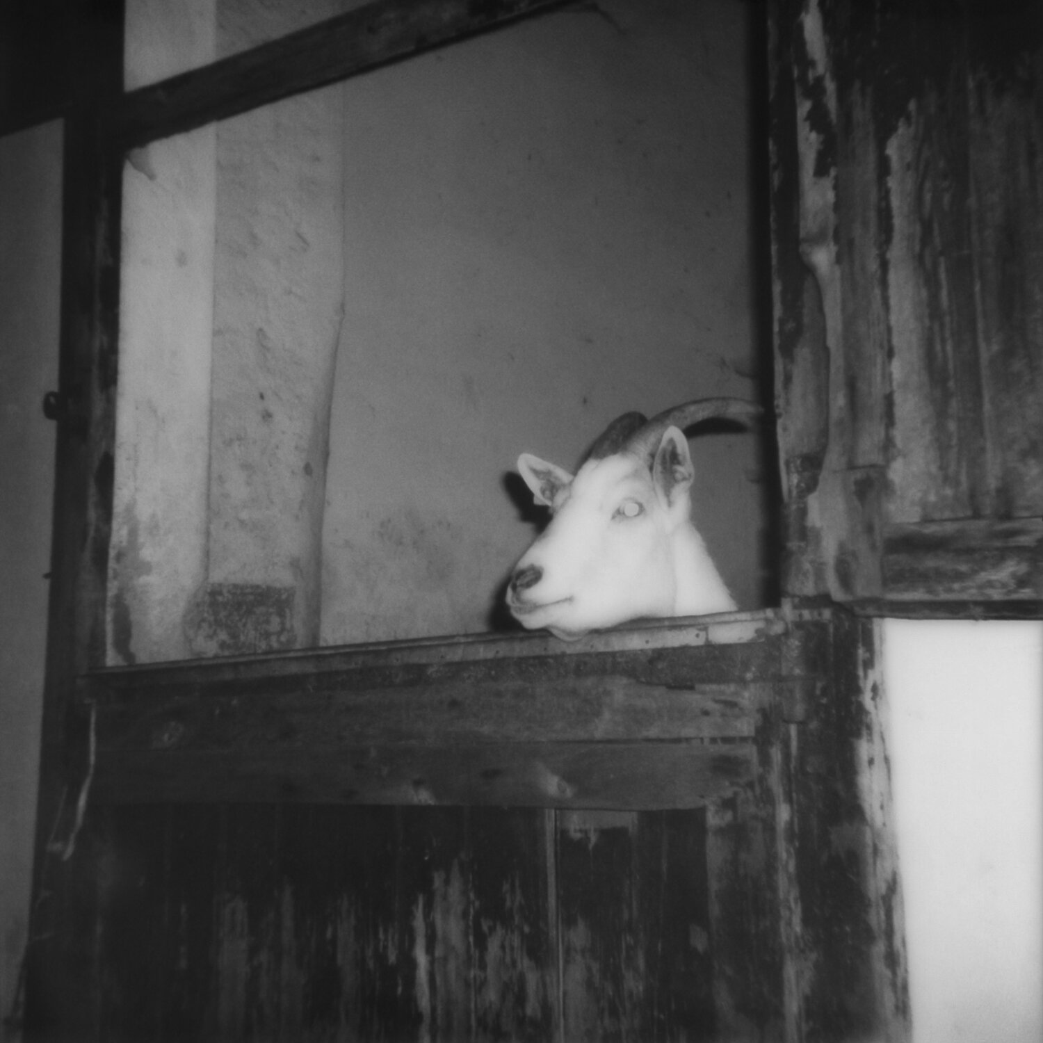 Giacomo Infantino_Those dreams that do not wake up03.jpg