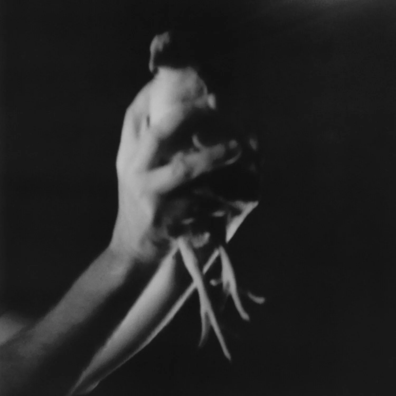 Giacomo Infantino_Those dreams that do not wake up04.jpg