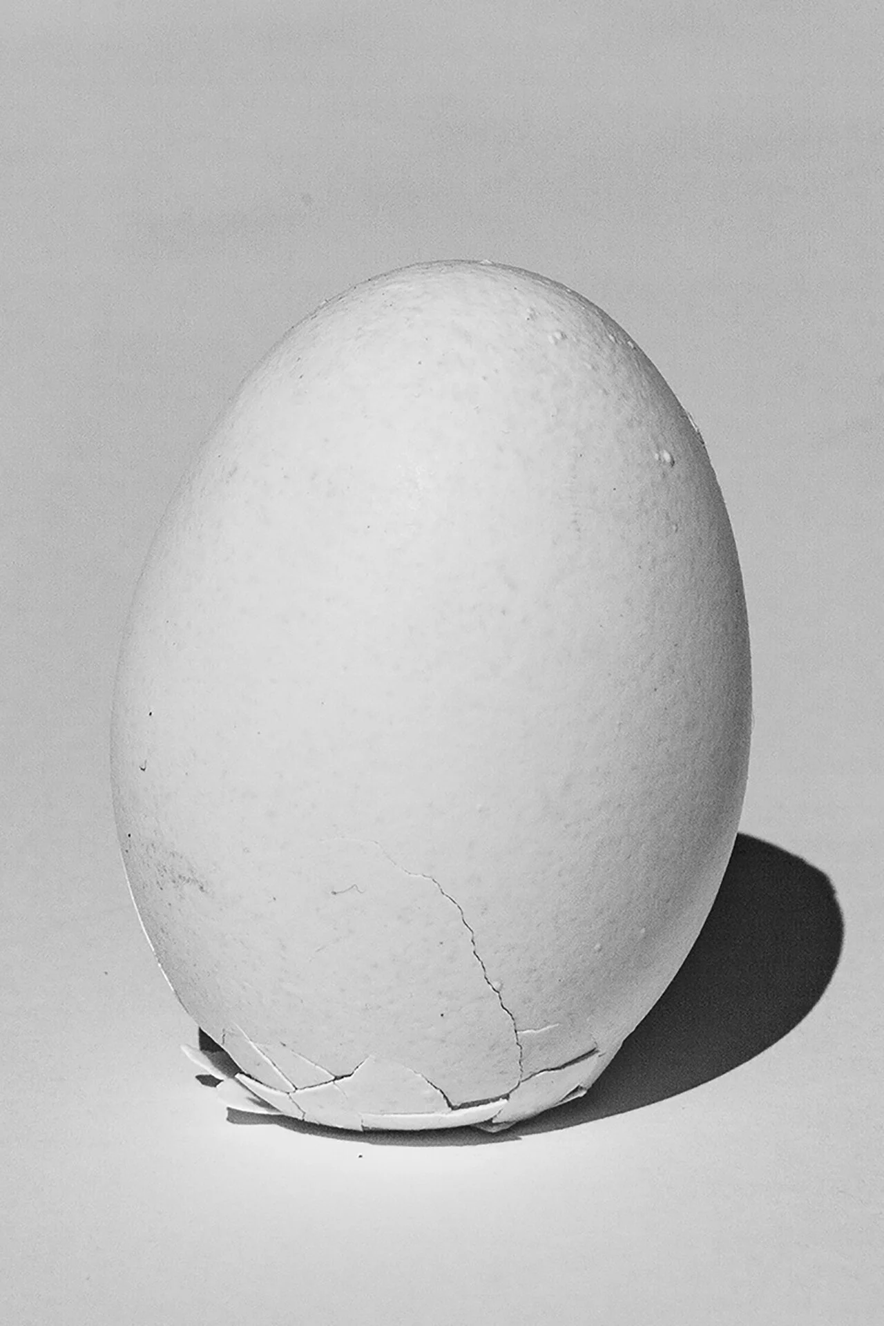 06chiara_ernandes_Still Birth copia.jpg
