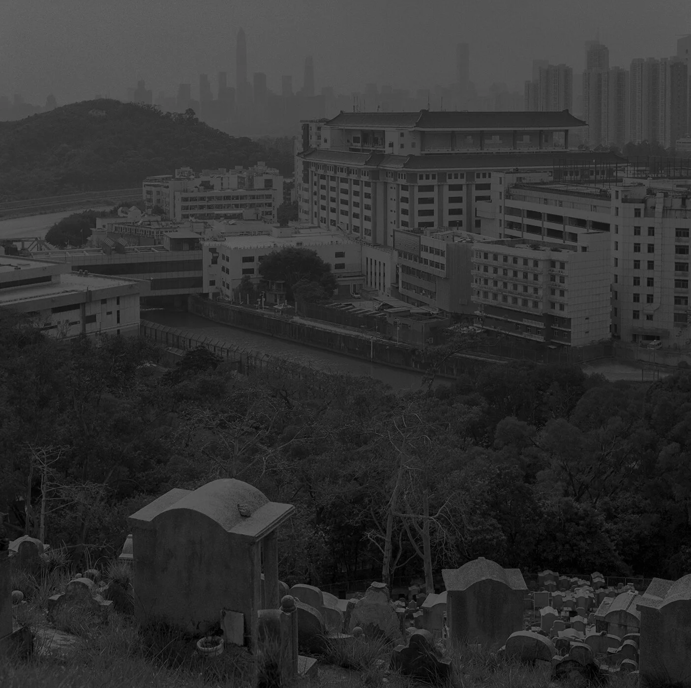 07.jpg