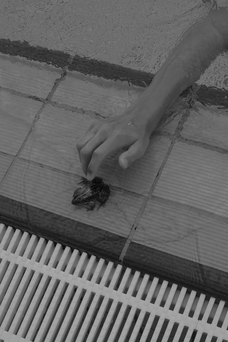 SanaSana_02.jpg