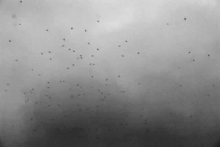 I lost you in the fall-Clear sky.jpeg