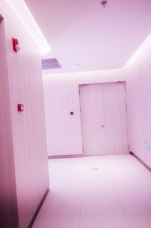 Oriental rosePink corridor.jpeg