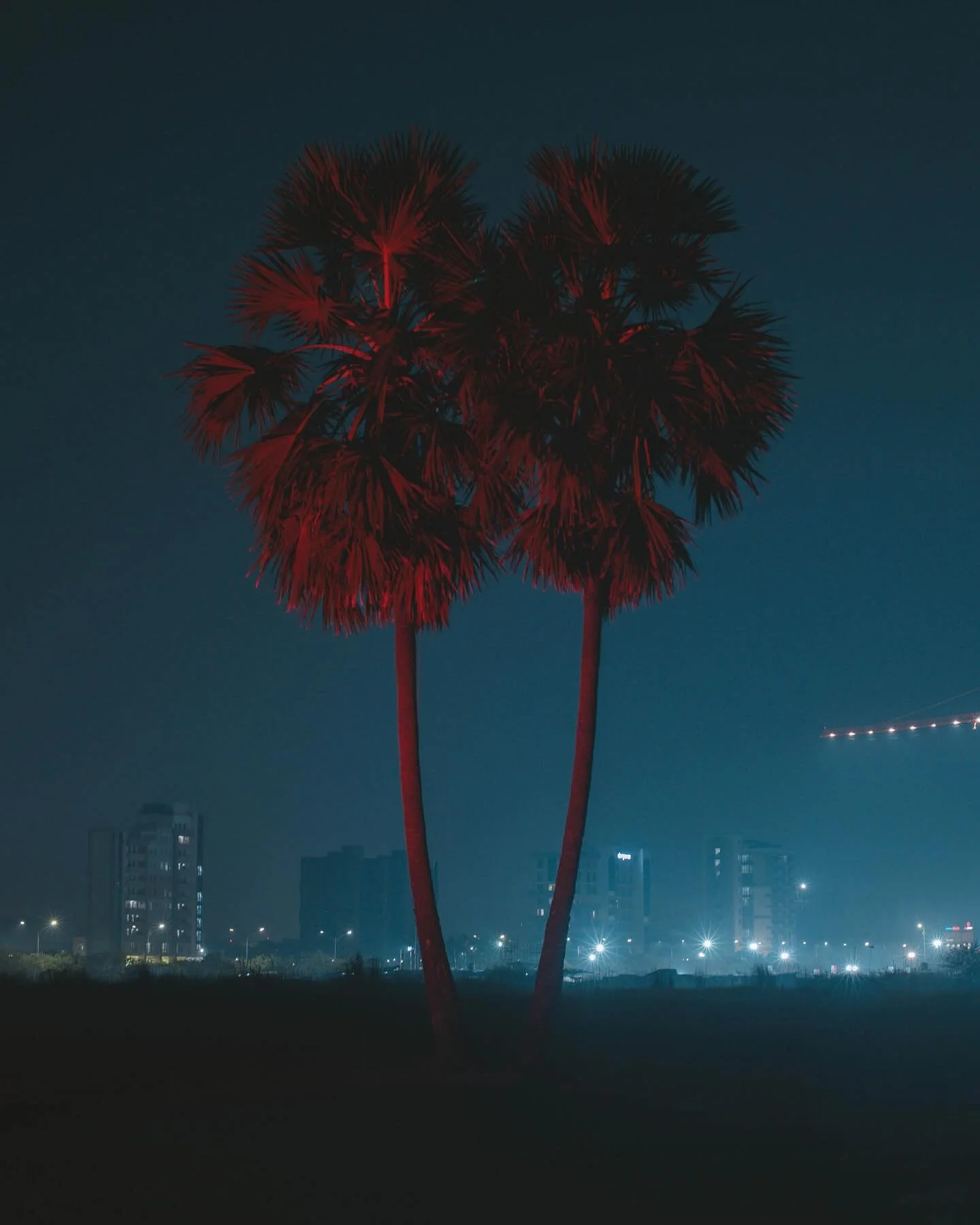 PINAKI NATH
2001, India
@pinakinath_ 

RED (2022- Ongoing)

Years ago, the government decided that the ageing city of Kolkata needed a new substitute &ndash; leading to the construction of &bdquo;New Town&rdquo;. I live in a place which is flanked by