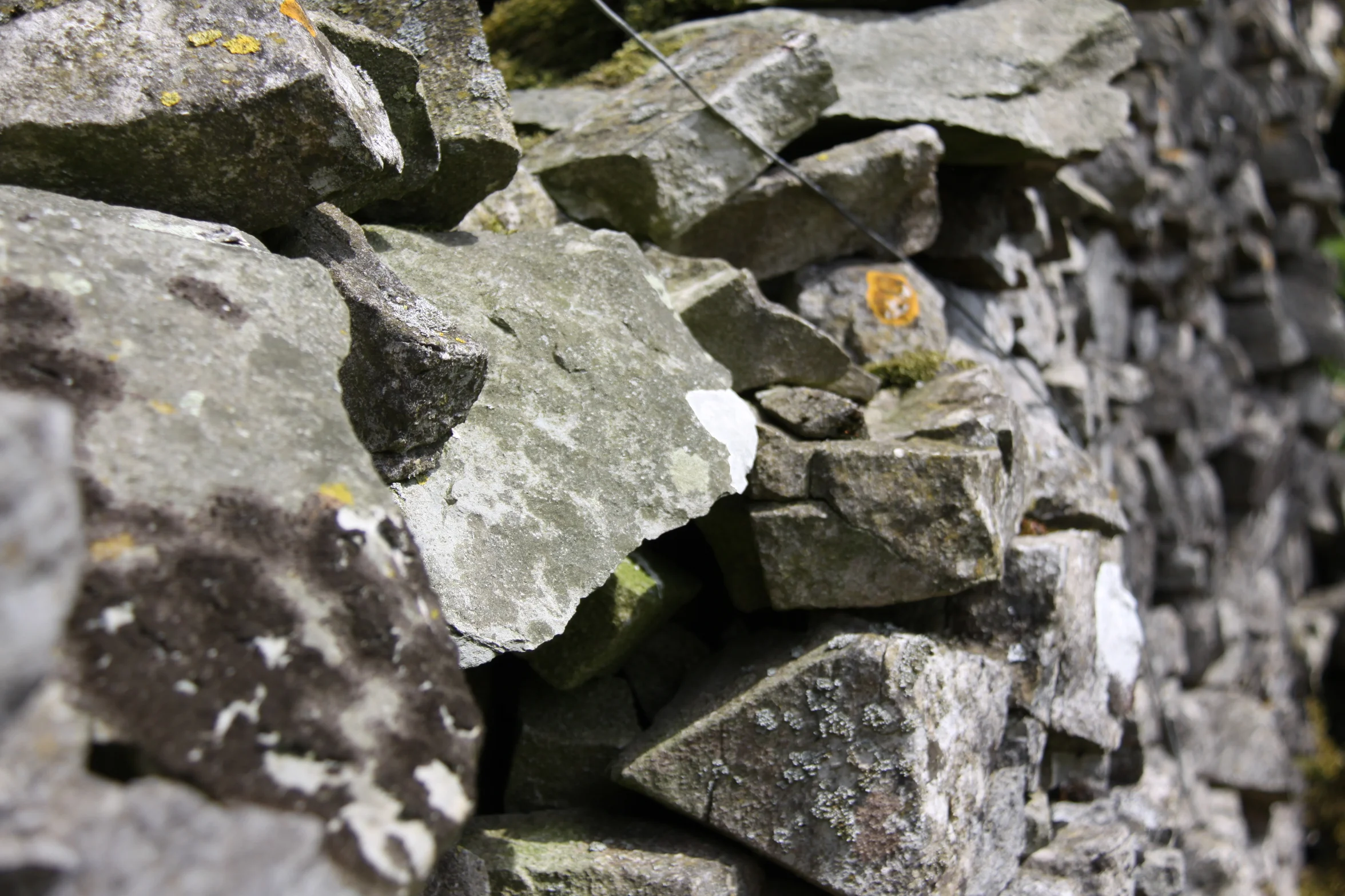 Random piccie of limestone wall.JPG