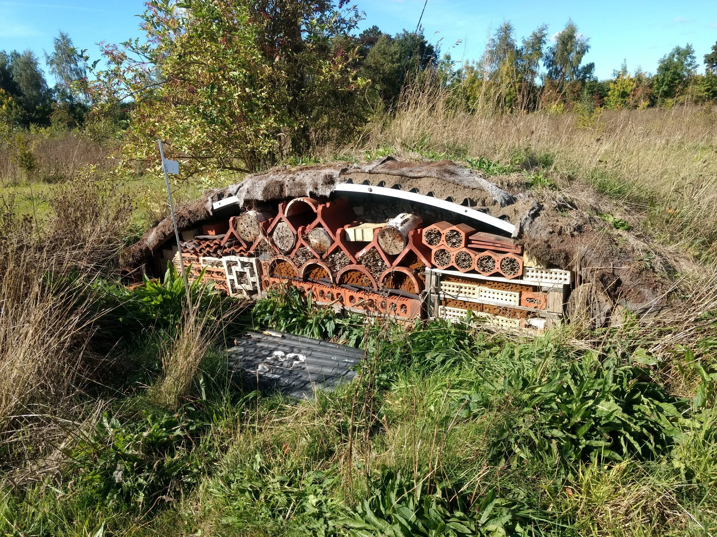 Bug hotel at Three Hagges Woodmeadow, photograph copyright Clare Langrick