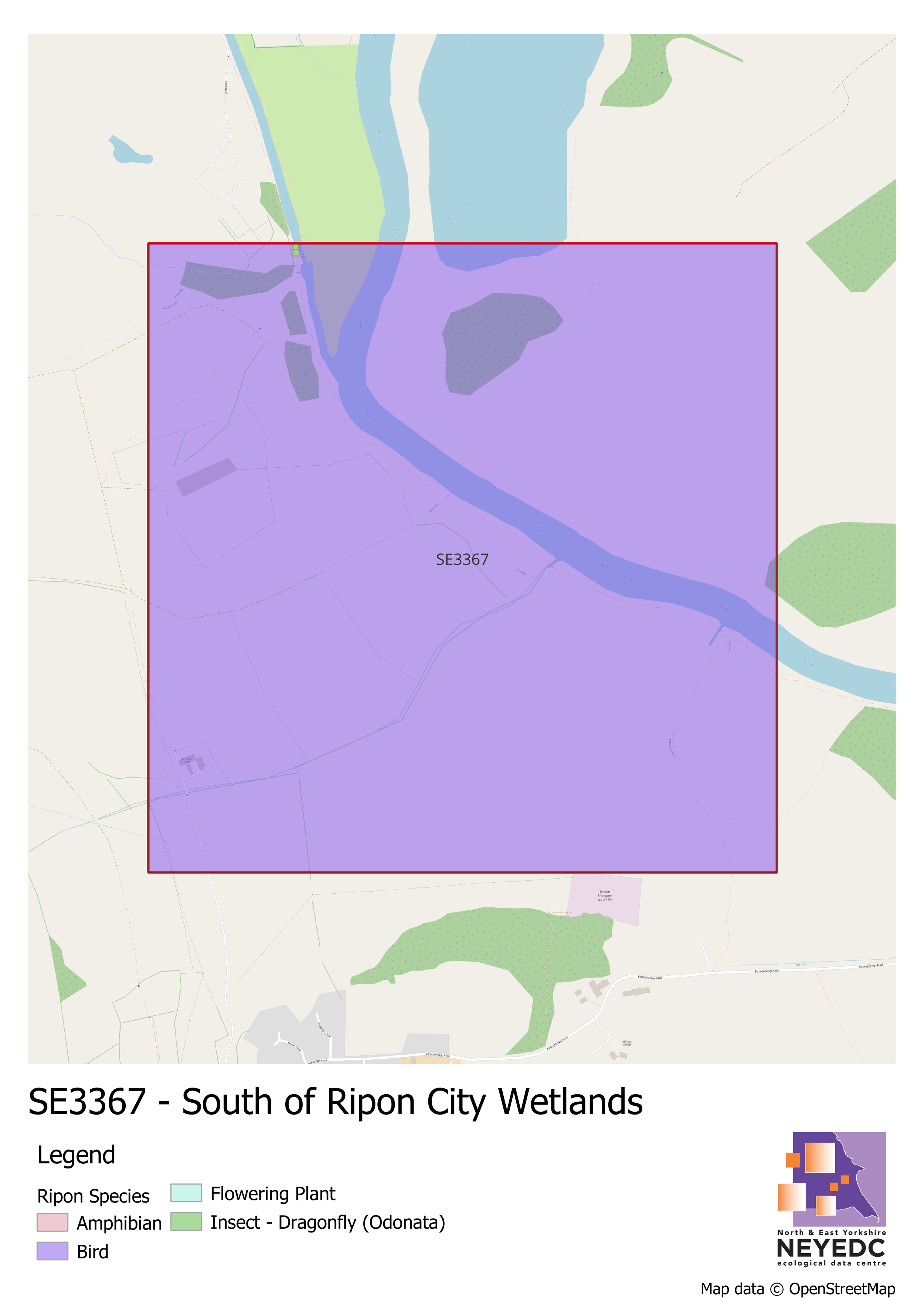 Monad of the Month - SE3367 - South of Ripon City Wetlands