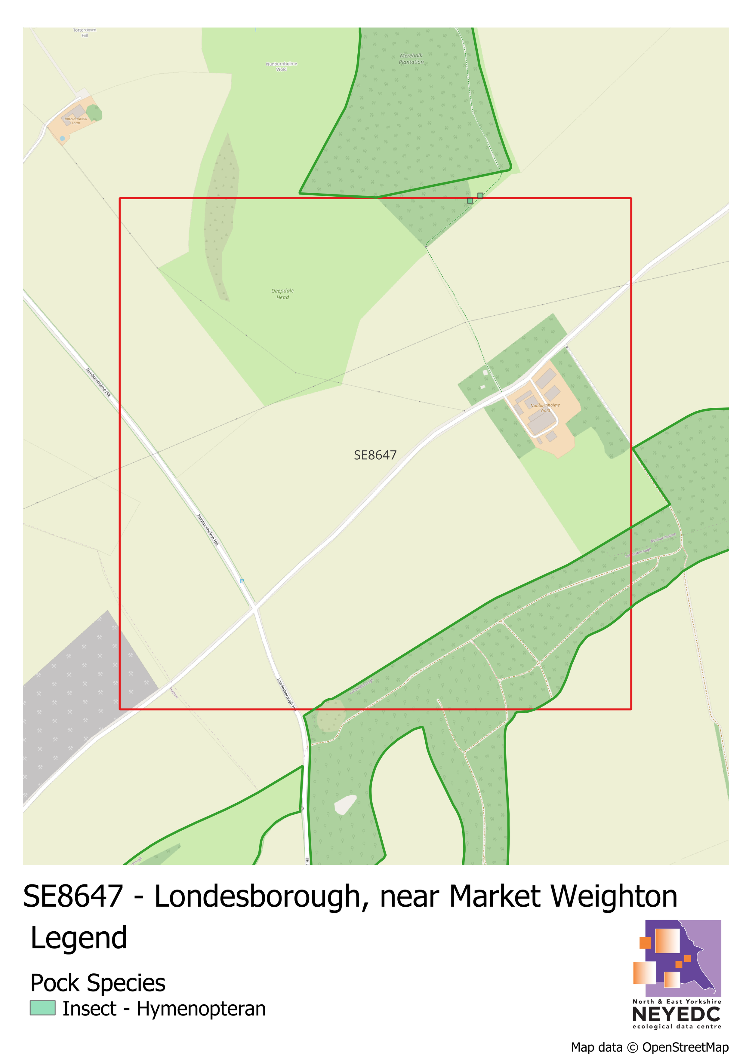 Monad of the Month - SE8647 - Londesborough, Market Weighton