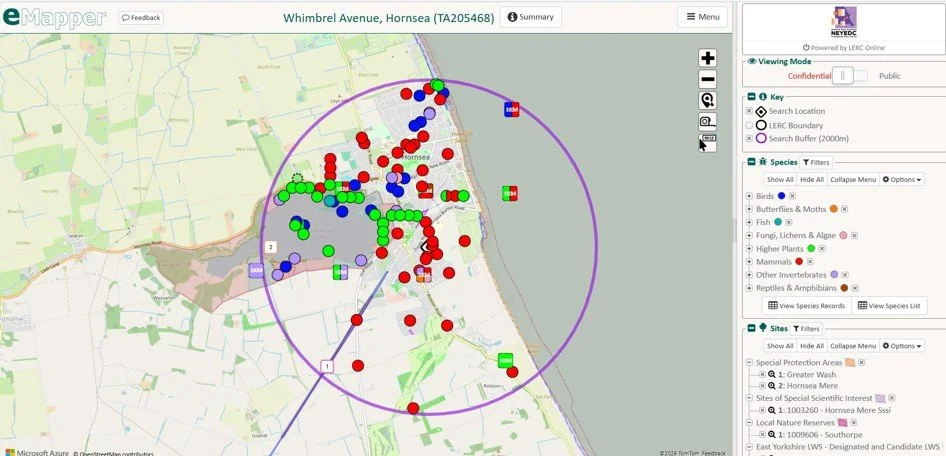 NEYEDC’s Data Delivery: A different kind of milestone…
