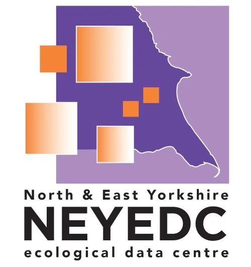 Networks for Nature Conference ticket - 100 Species Article Authors