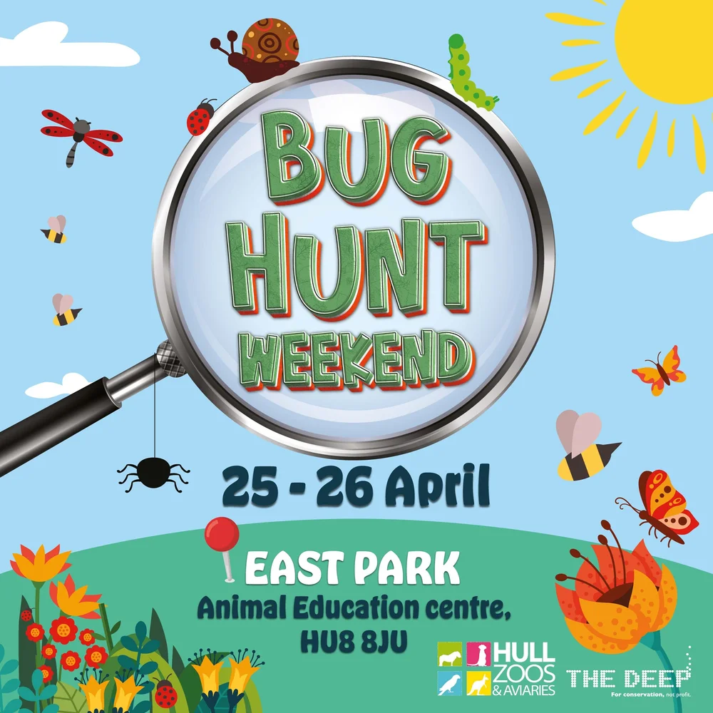 Hull City Nature Challenge 2026 — neyedc