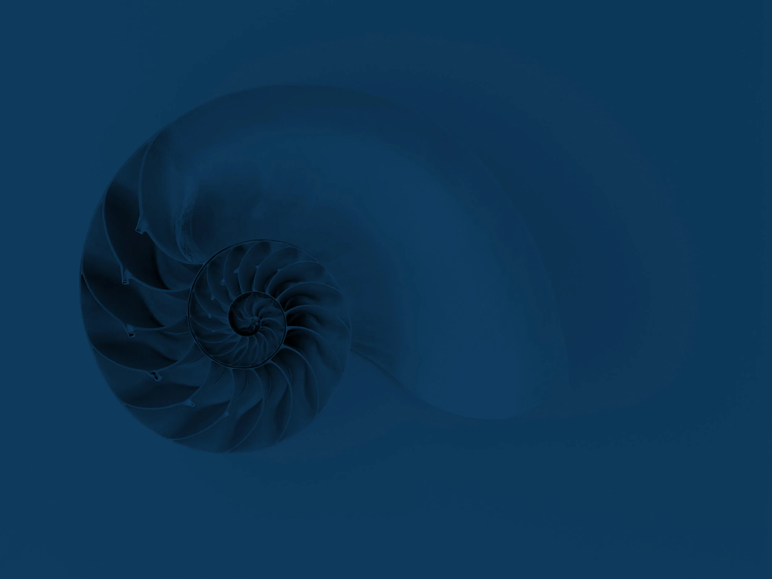 nautilus.jpg