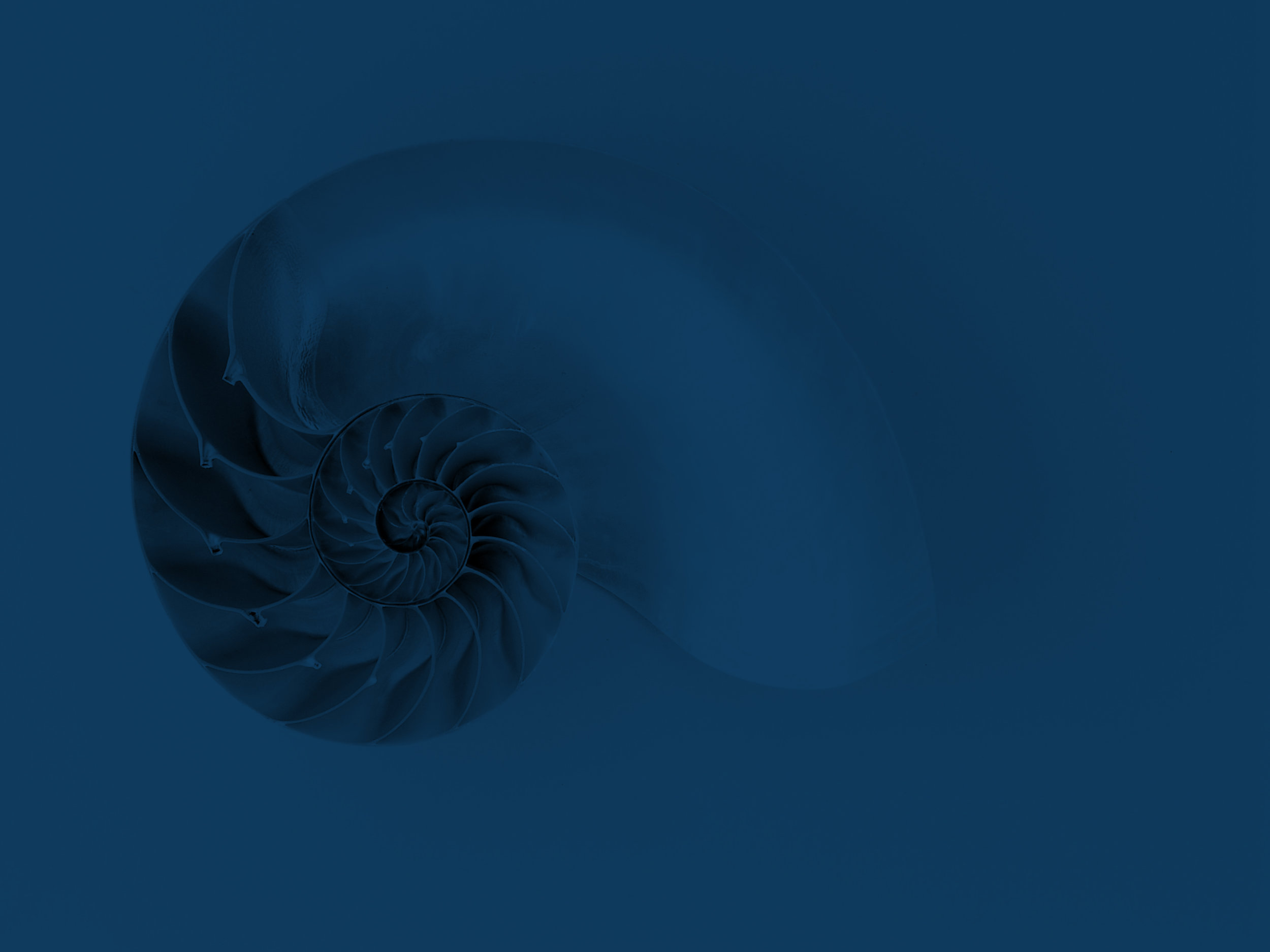 nautilus.jpg