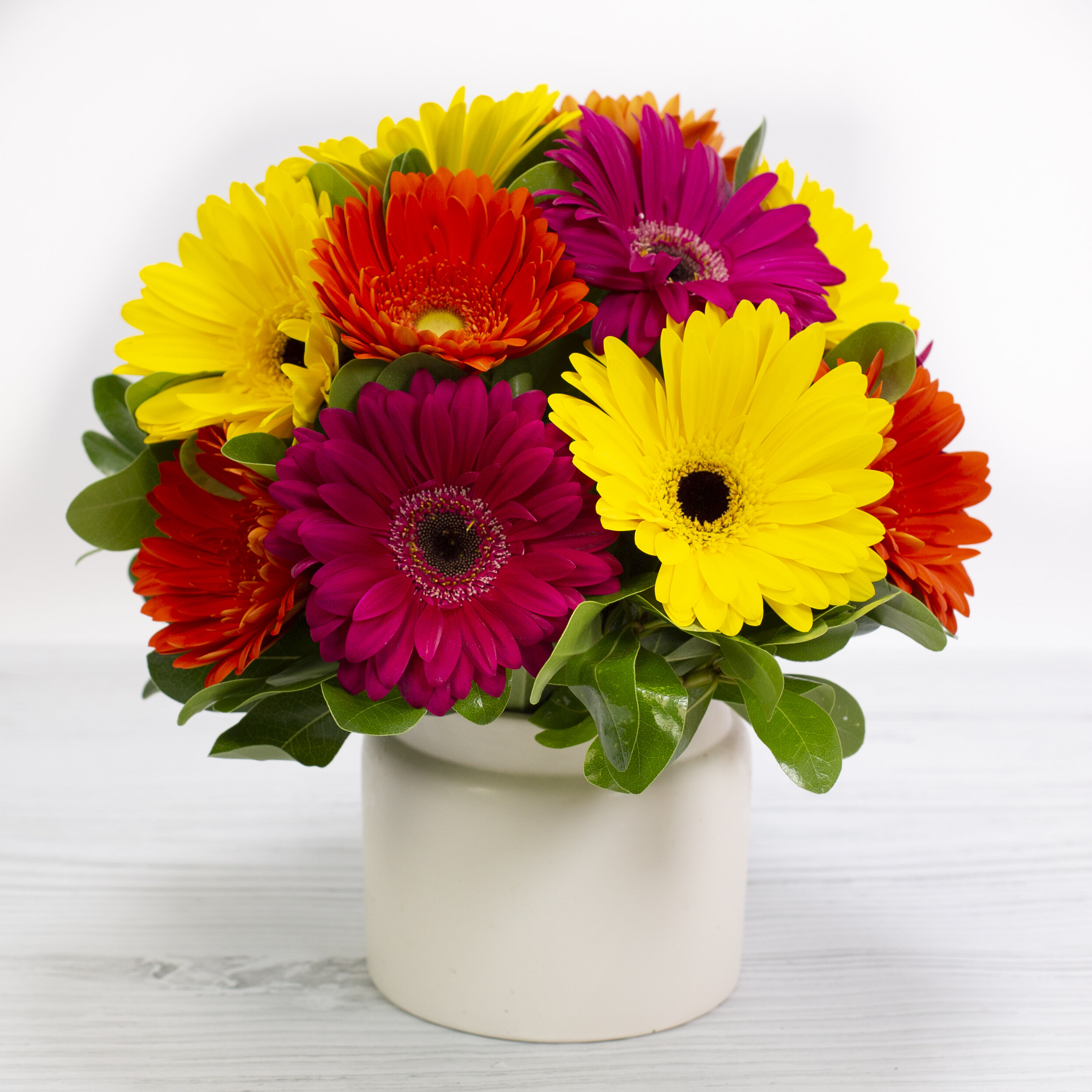 Daisy for You