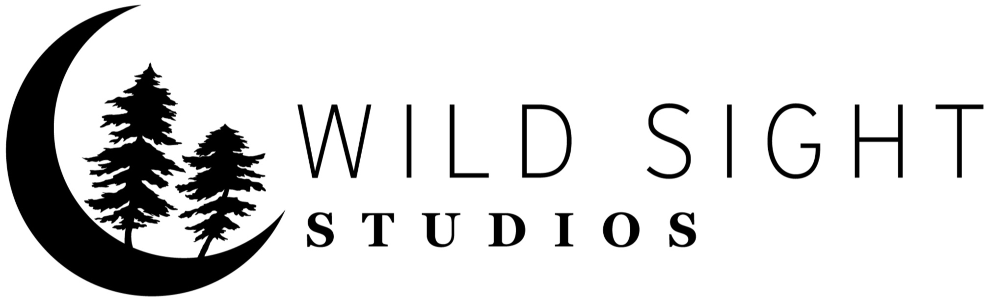 Wild Sight Studios