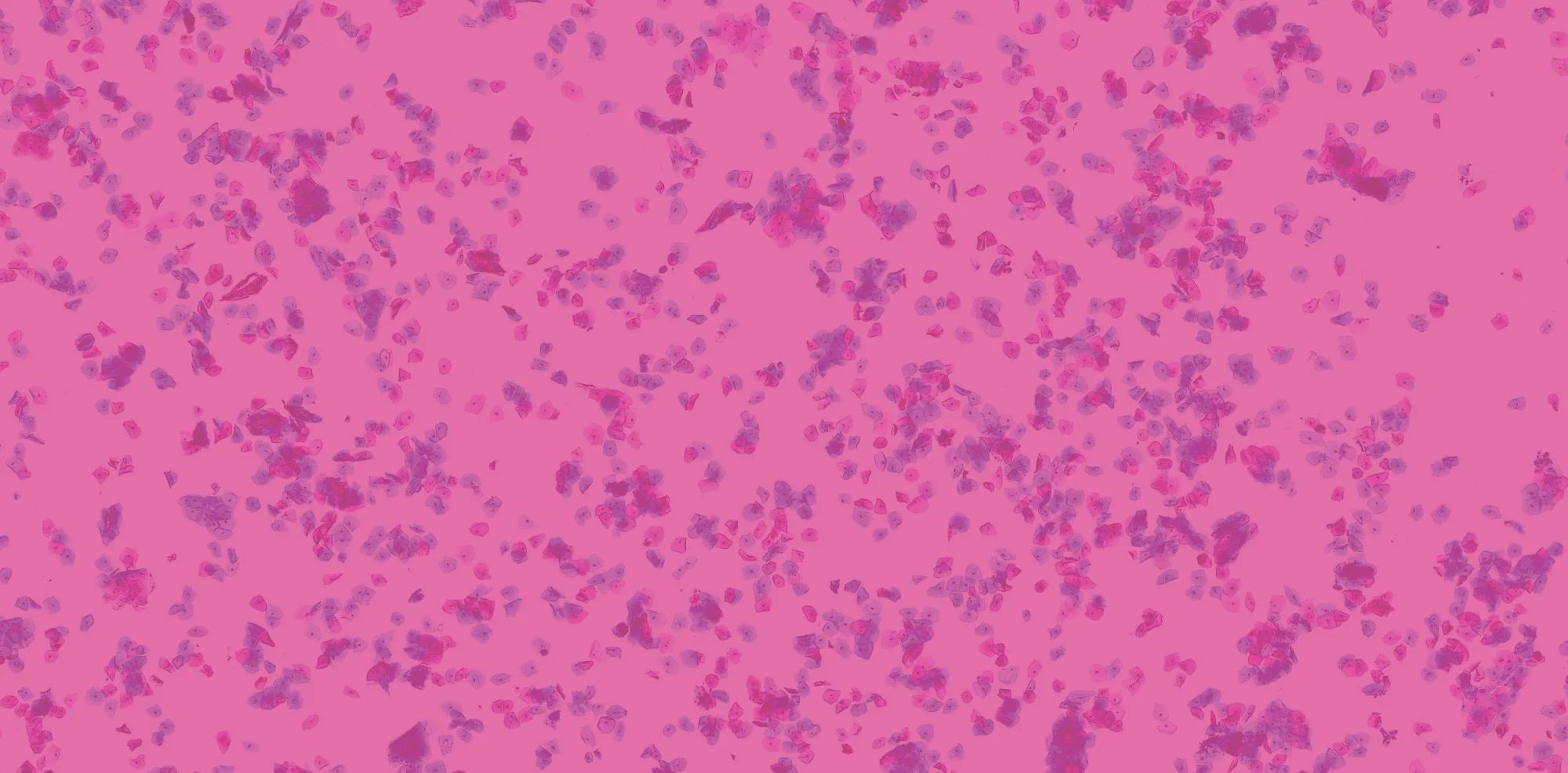 Pap - Pink.jpg