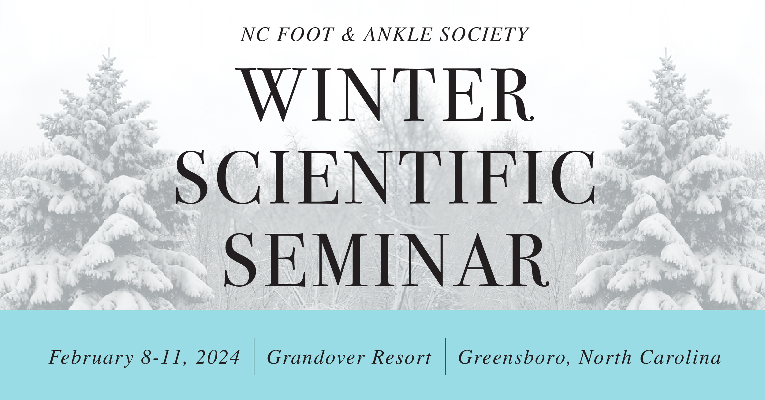 NCFAS North Carolina Foot & Ankle Society Winter Scientific Seminar — Sagis