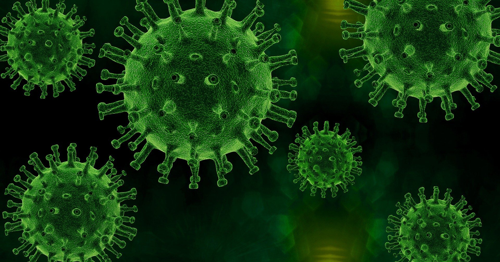 virus-4931041_1920.jpg