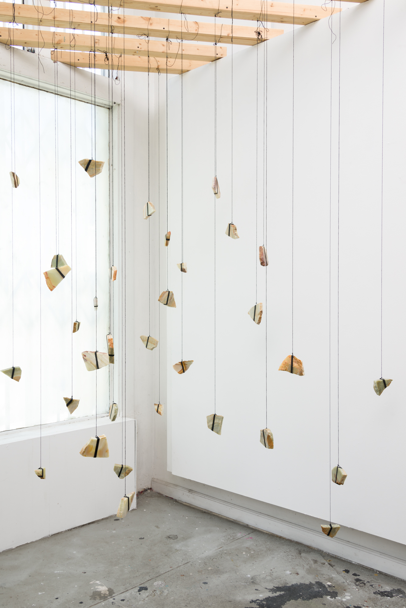 Butterfly Double (Installation View), 2016