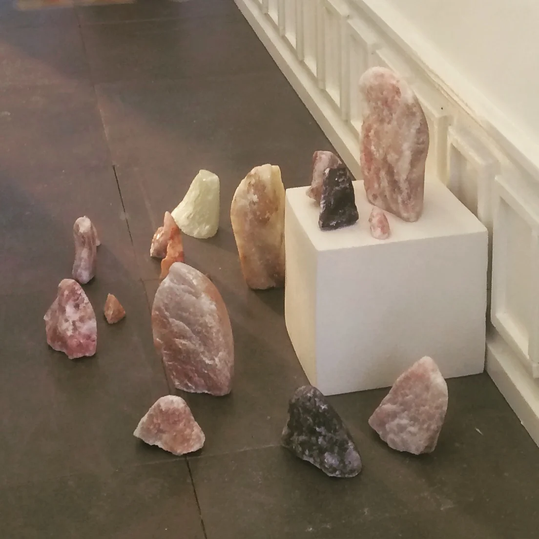 Wings-Mini Show.jpeg