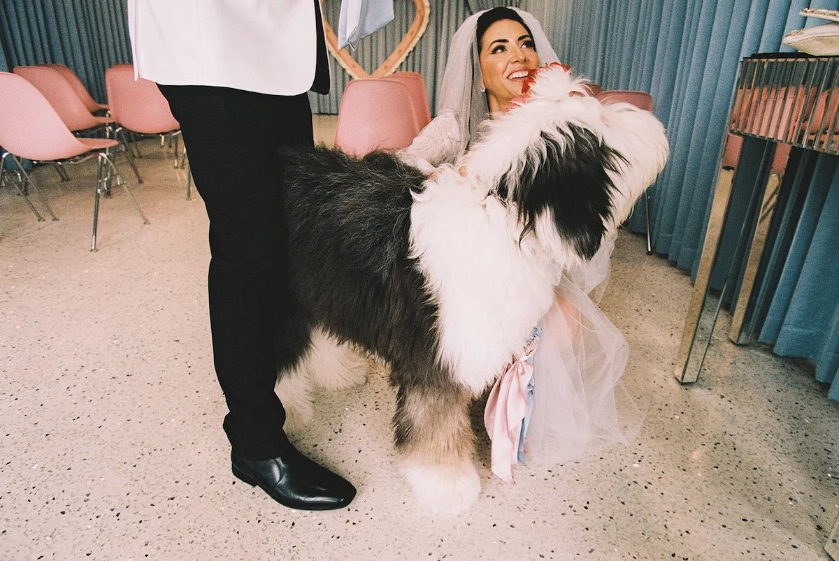 Sure Thing Too Chapel Elopement with the cutest dog in Las Vegas!4.jpg