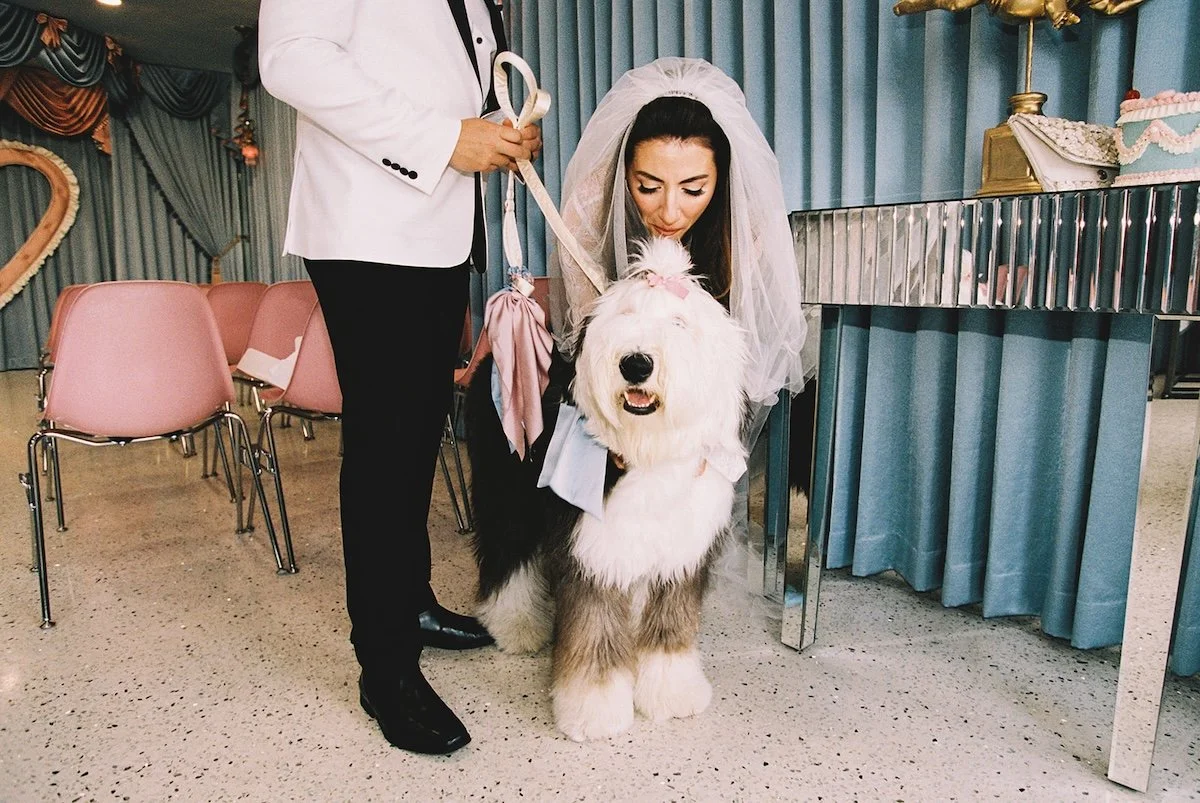 Sure Thing Too Chapel Elopement with the cutest dog in Las Vegas!56.jpg
