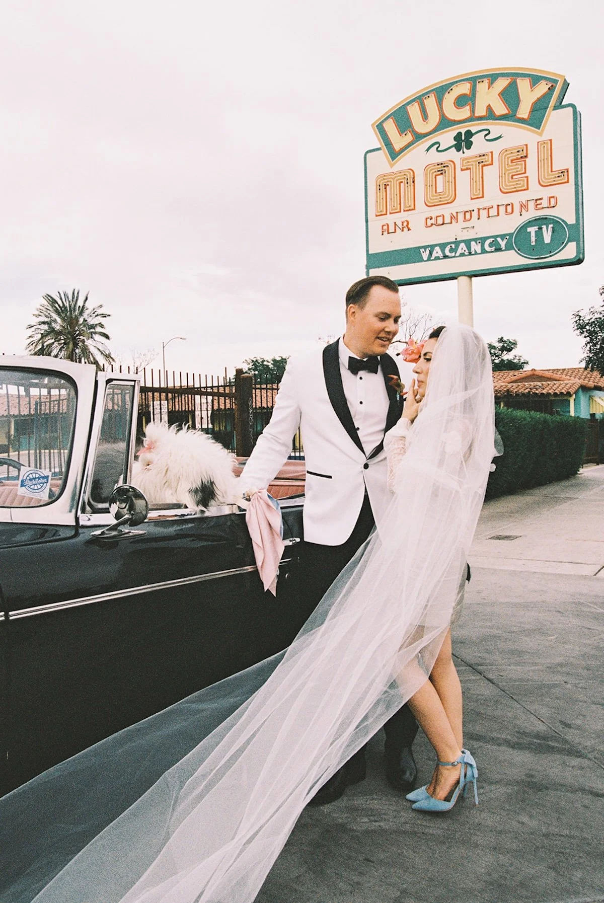 Sure Thing Too Chapel Elopement with the cutest dog in Las Vegas!82.jpg