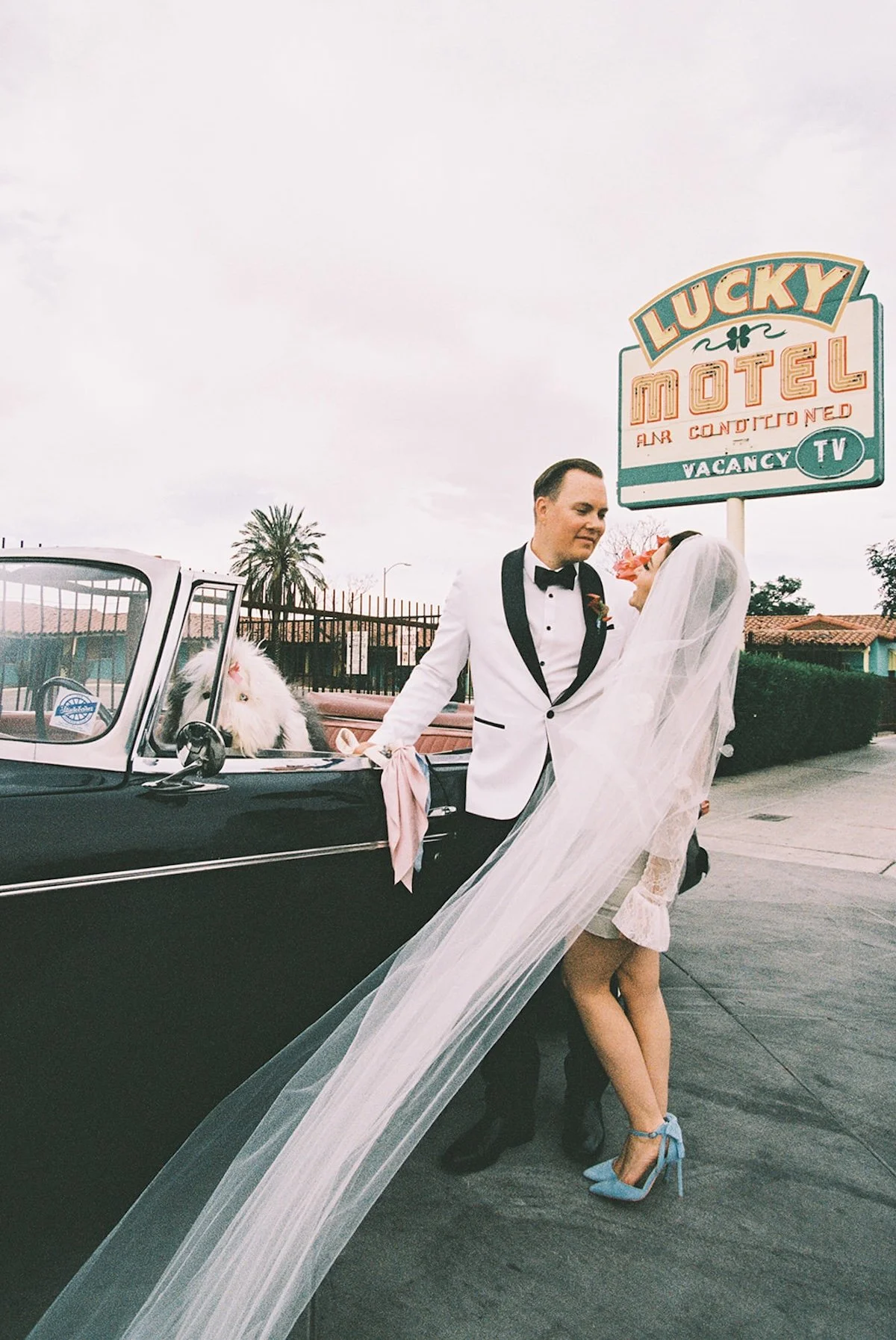 Sure Thing Too Chapel Elopement with the cutest dog in Las Vegas!83.jpg