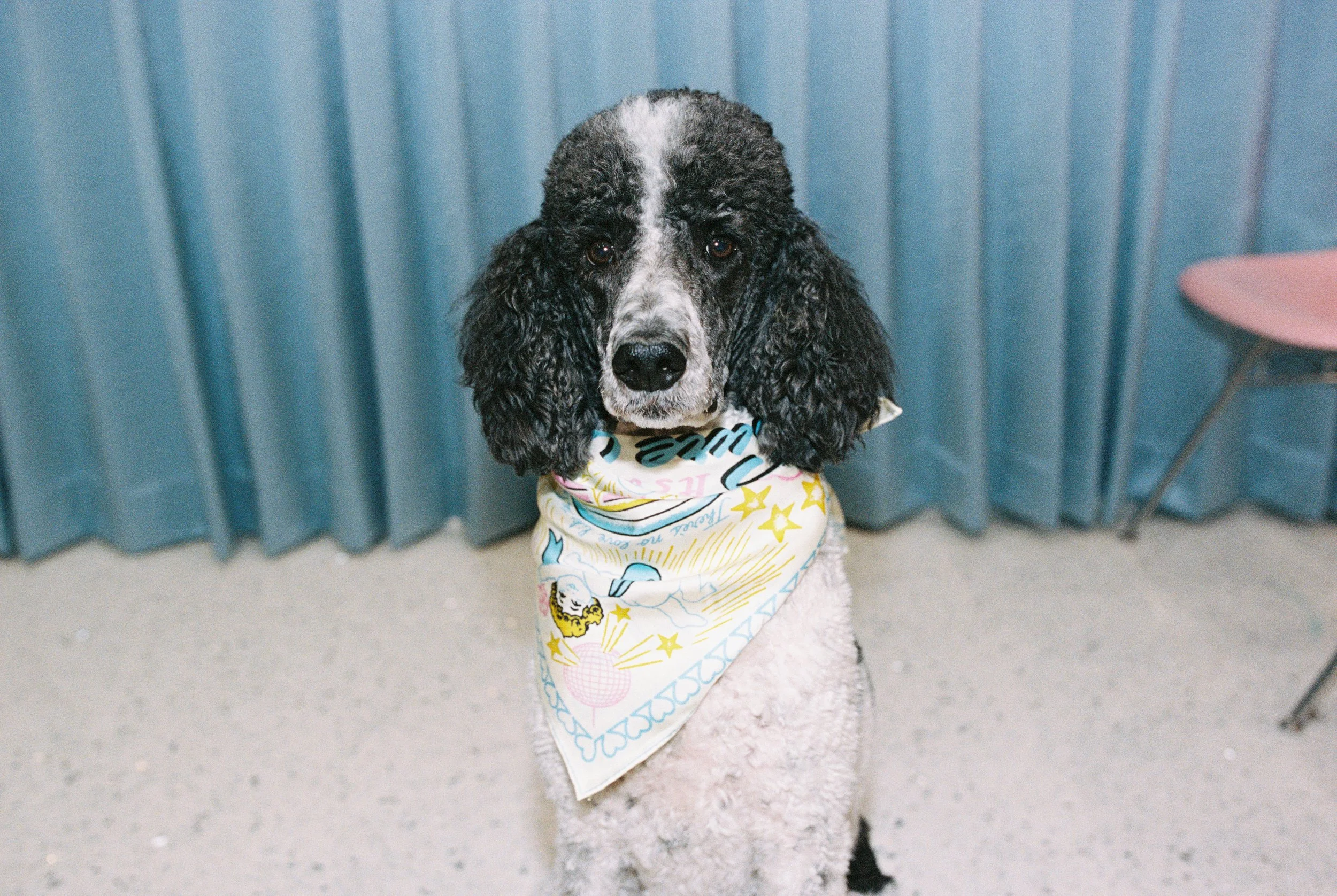 chapel too scarves-2.JPG