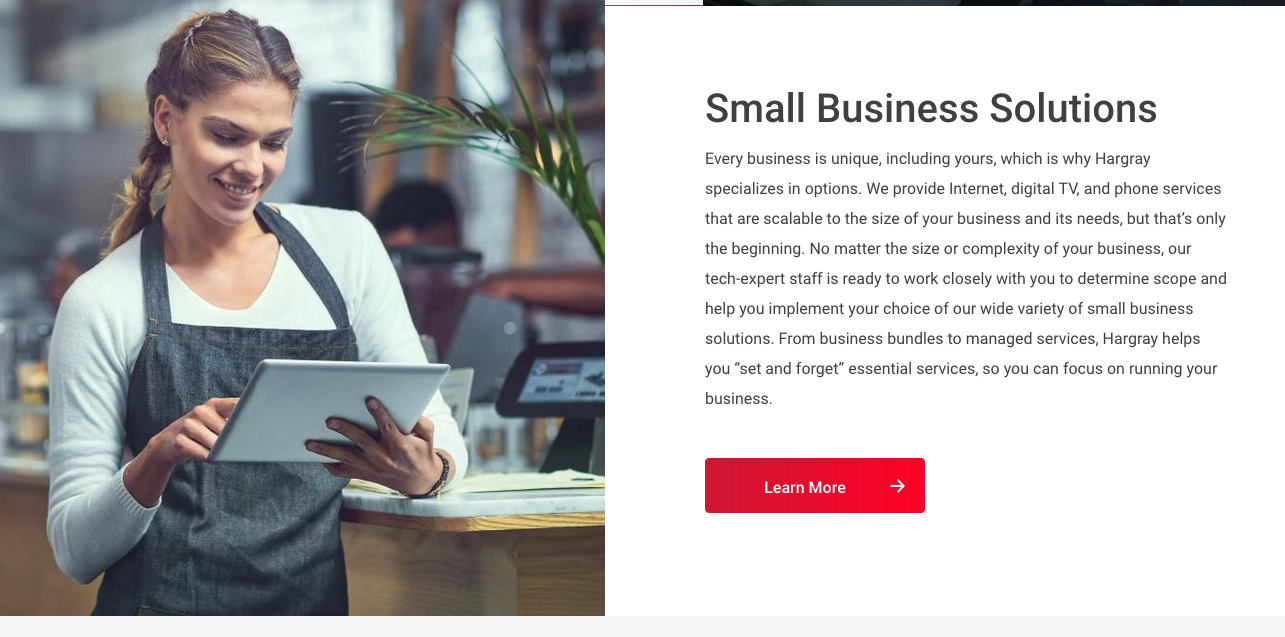 Hargray_small biz.png