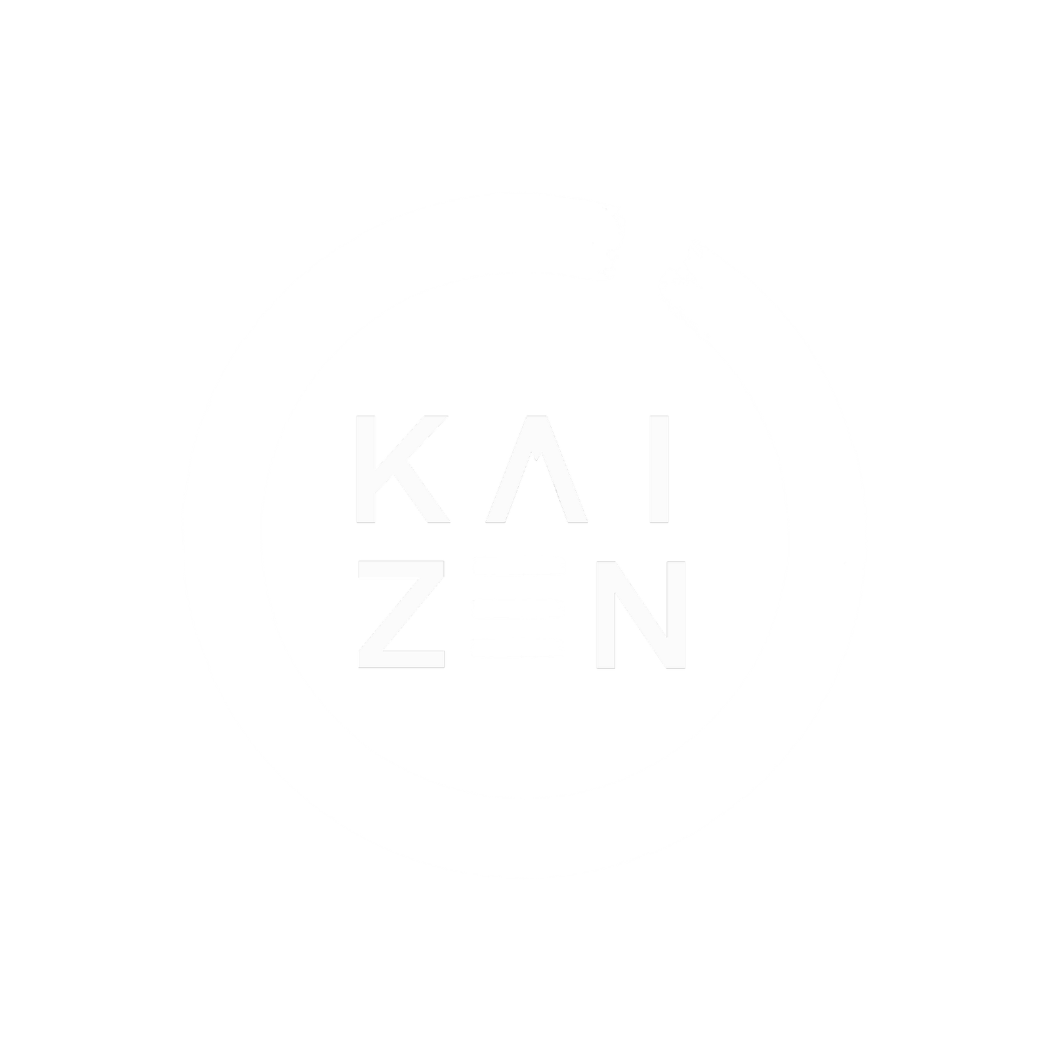 KAIZEN PERFORMANCE 