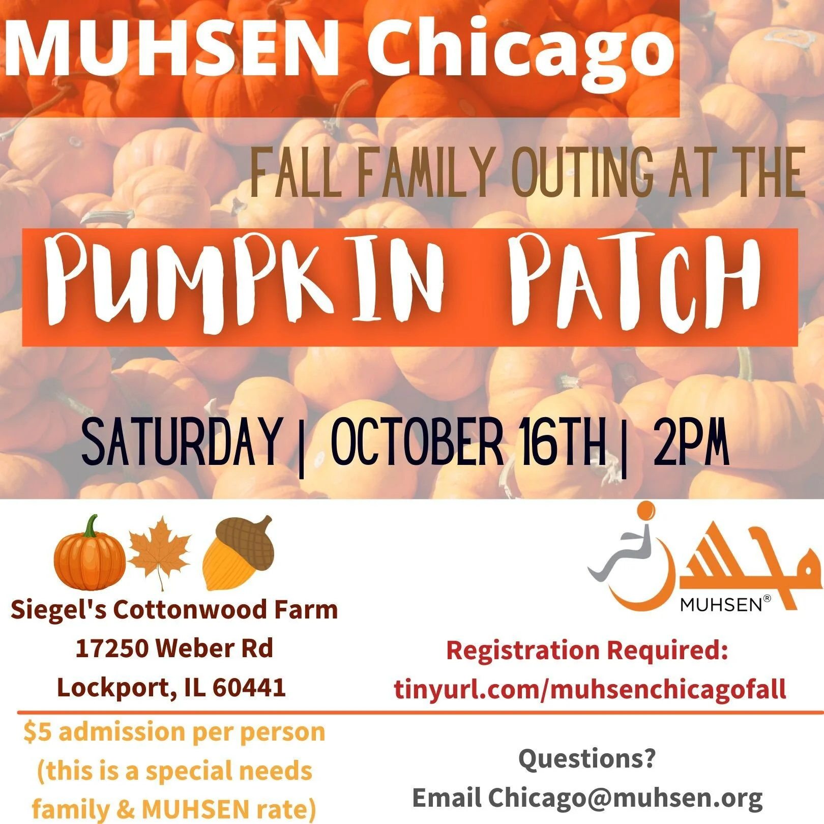 Muhsen: Pumpkin Patch