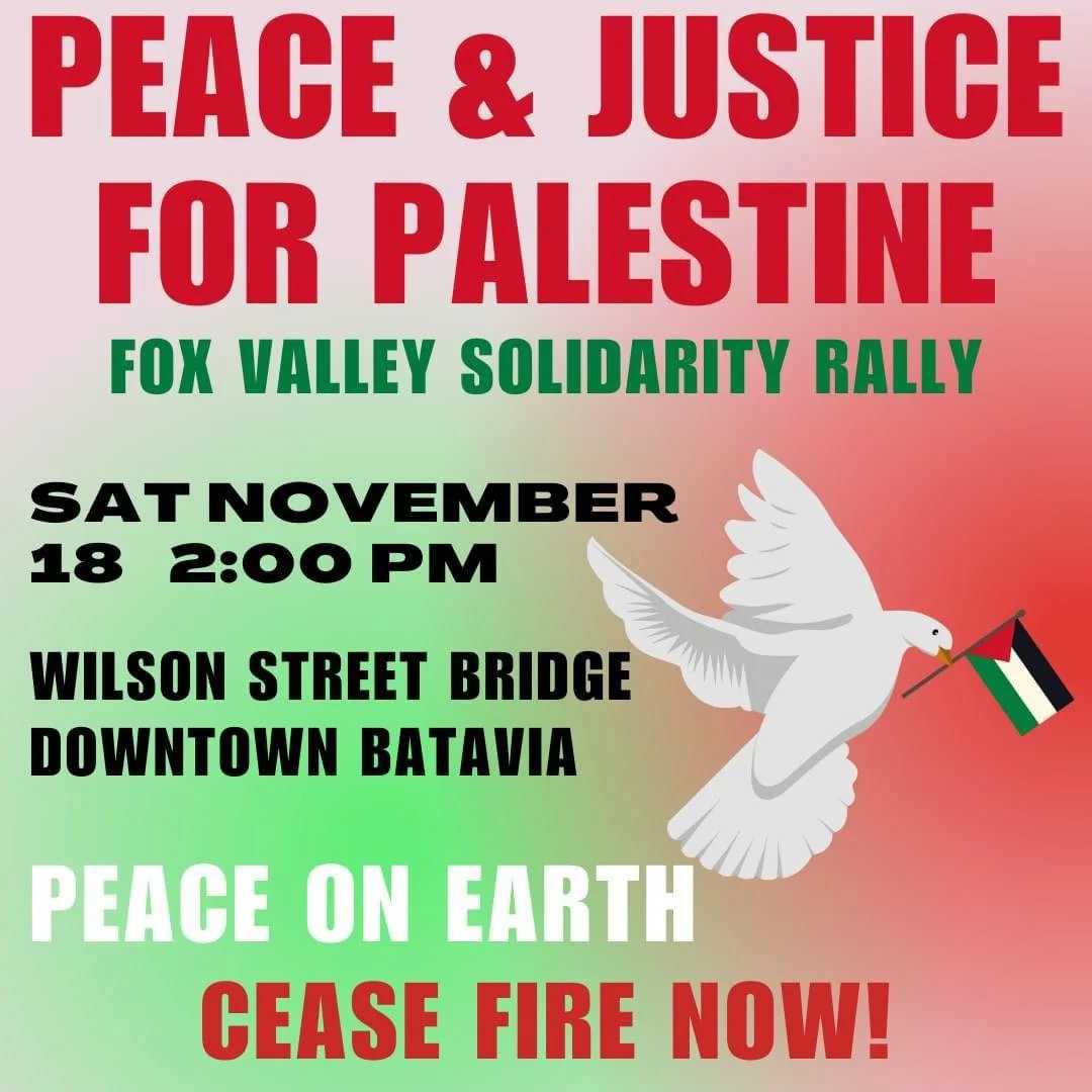 Peace &amp; Justice for Palestine: Fox Valley Solidarity Rally 
