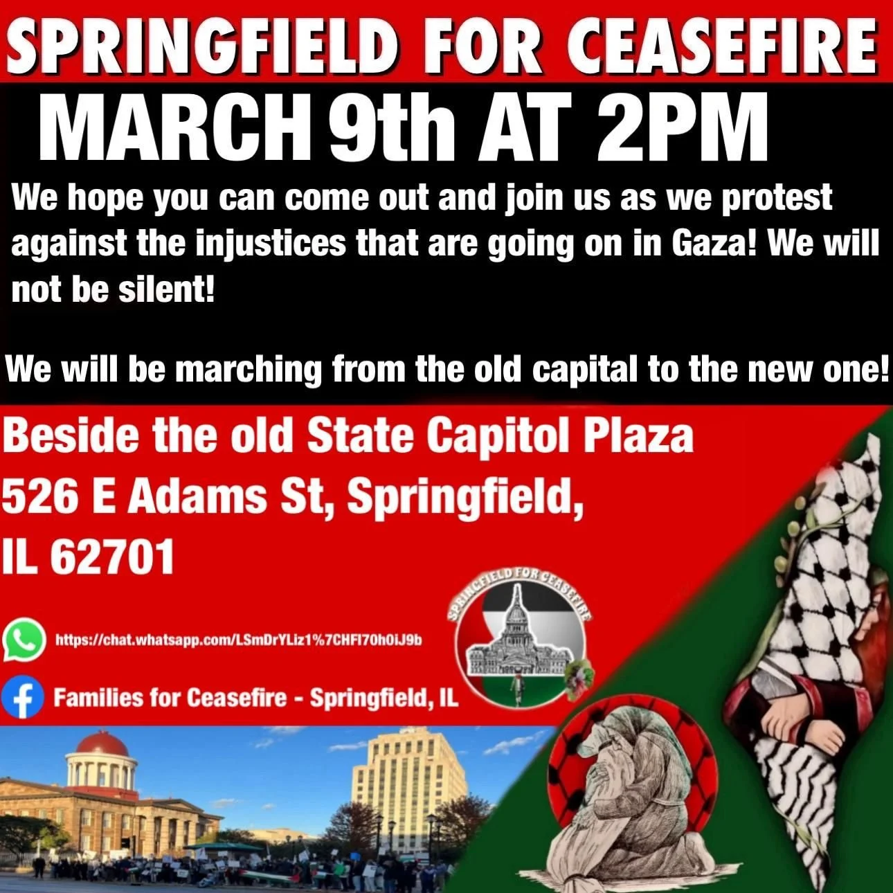 Springfield for Ceasefire