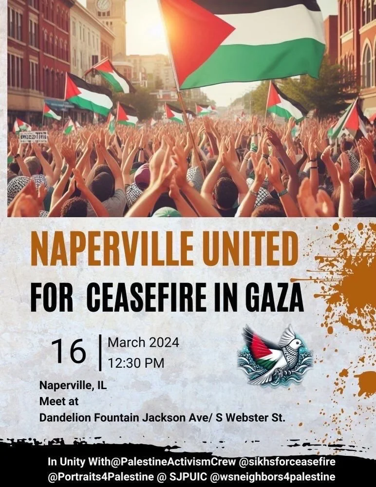 Naperville United for Ceasefire in Gaza