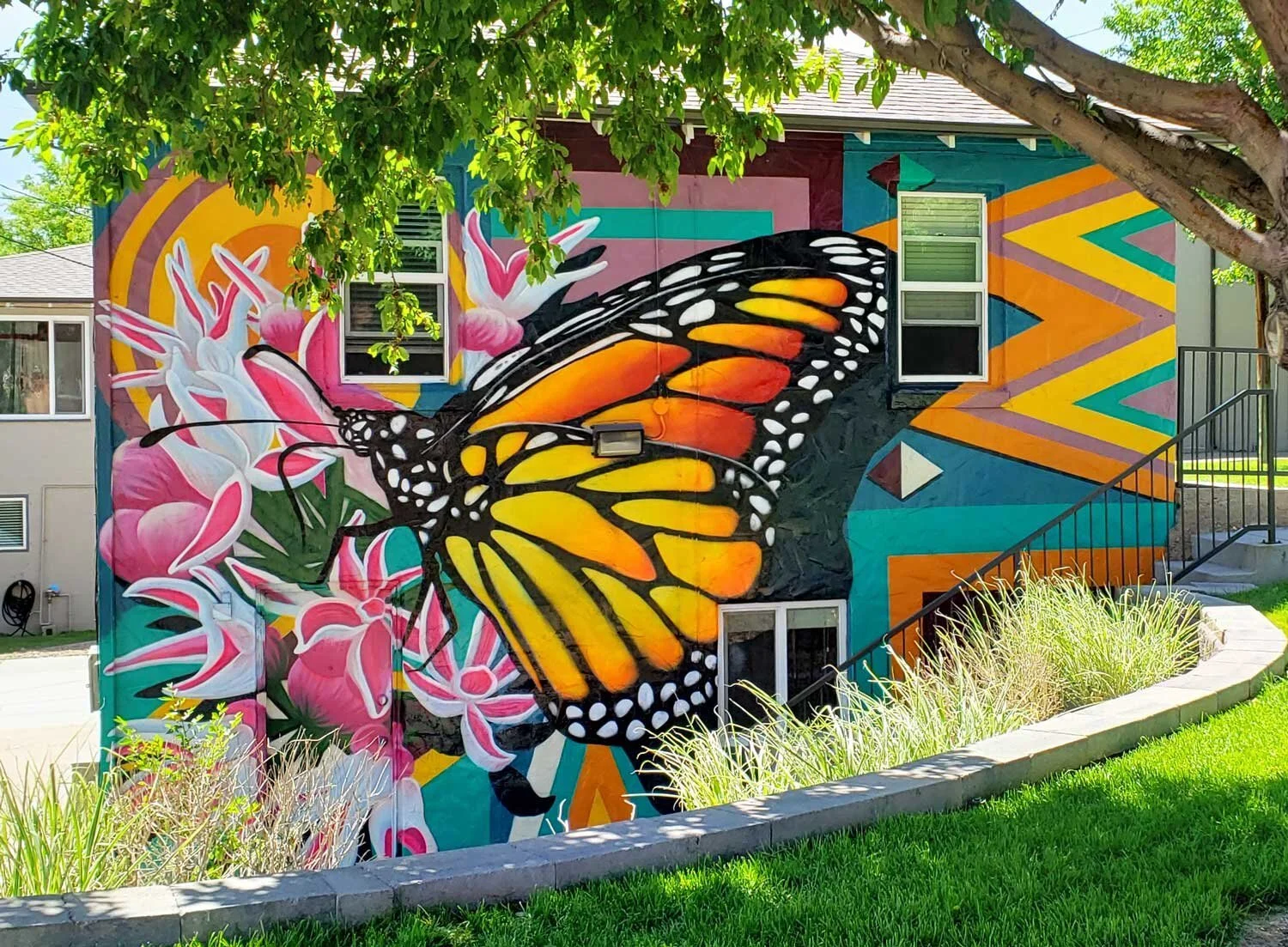 Katy Casper_Showy-Milkweed.jpg