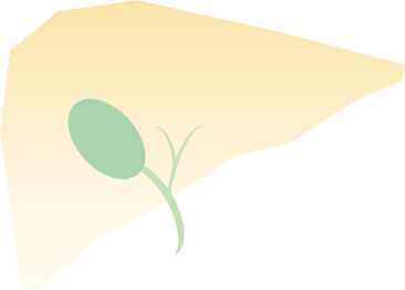 liver.png
