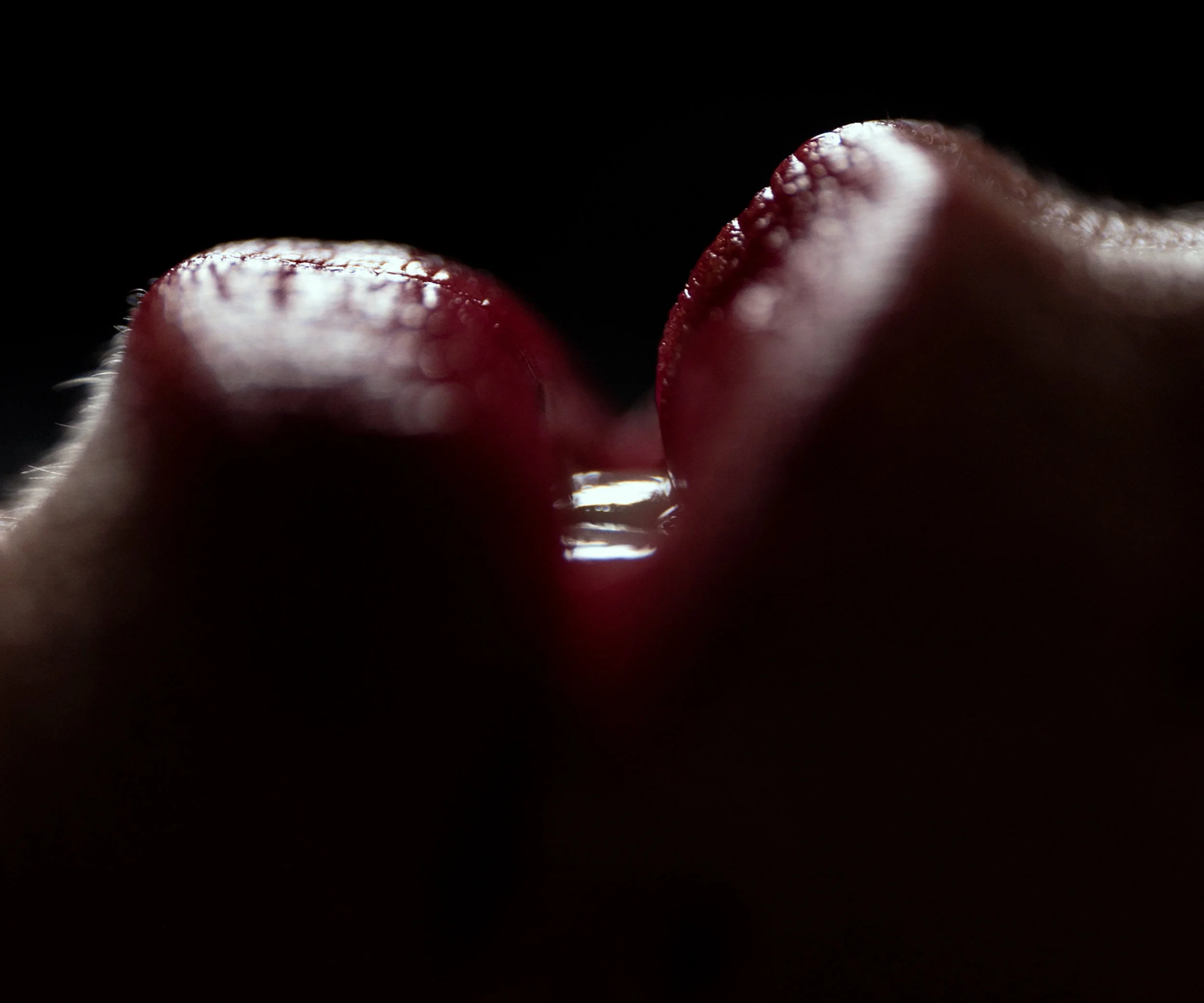 Lips , digital print, 2018