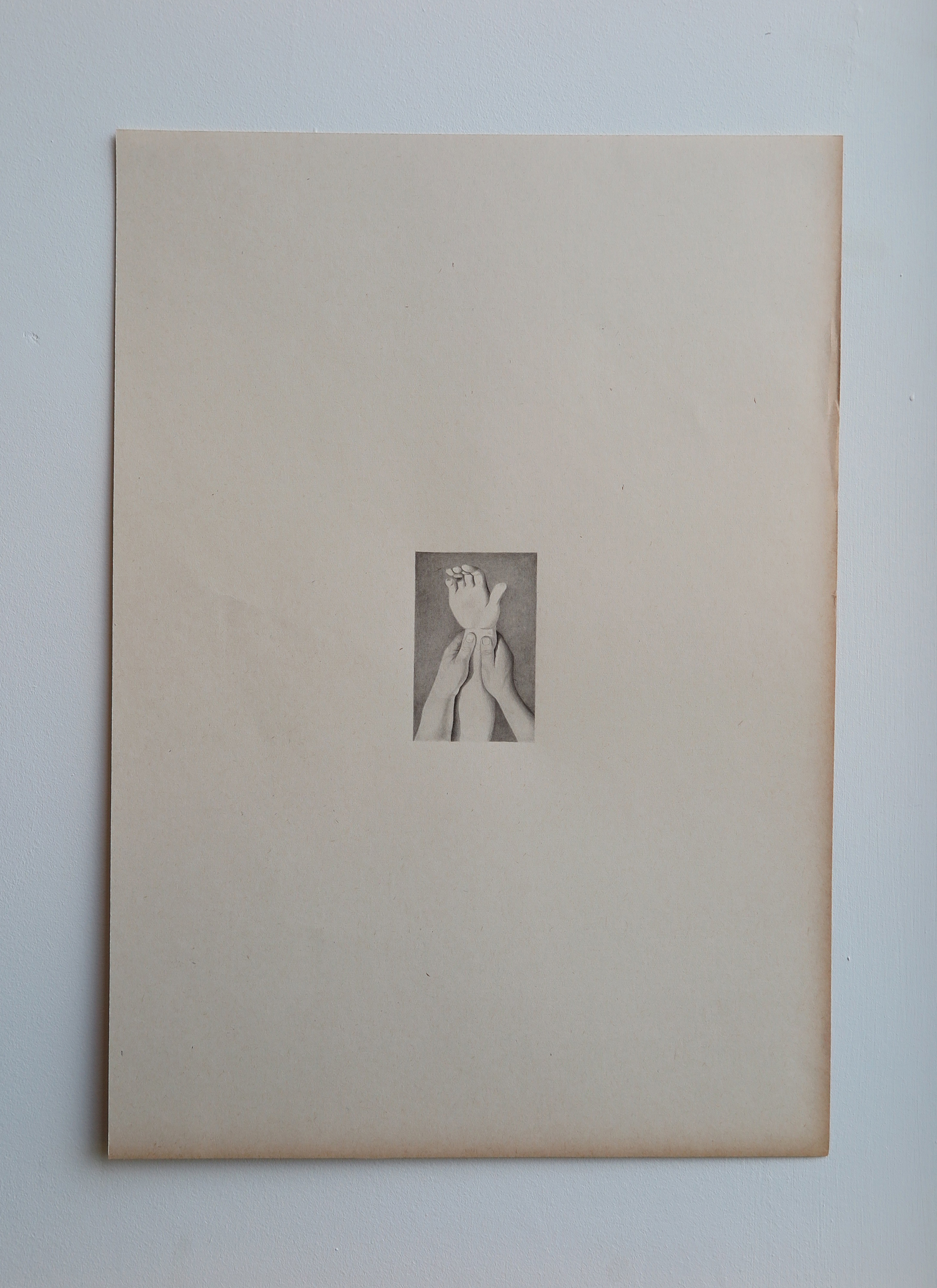 Lisa Wilkens - Unite , Chinese Ink on Found Paper (2016)