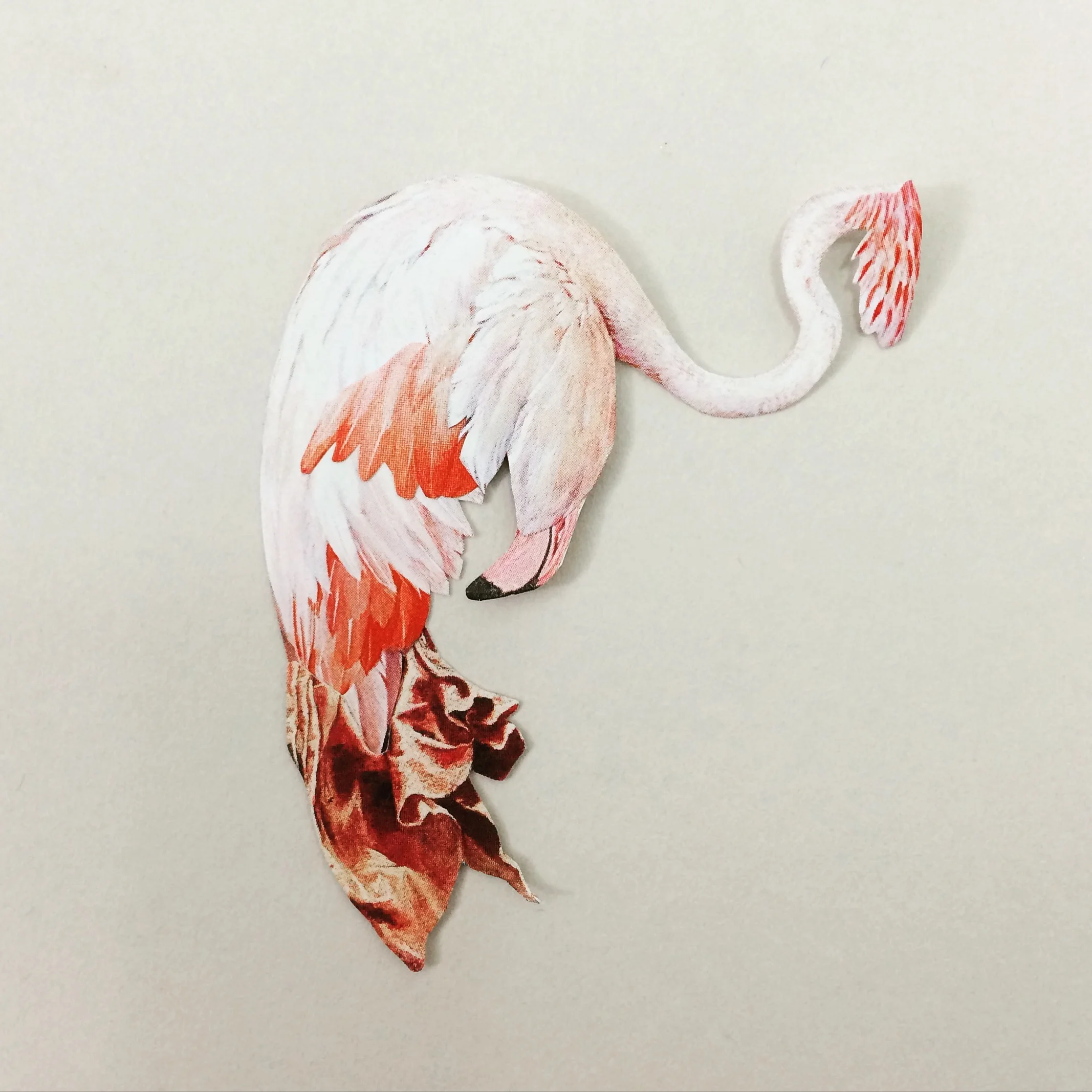 flamingo.jpg