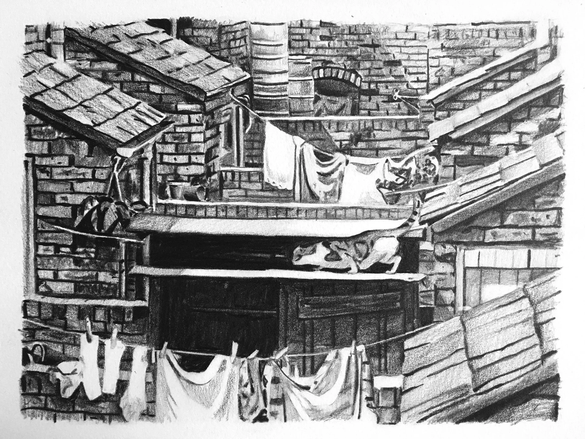 Narbi Price - Untitled (Frisky), Pencil on Paper, 2016